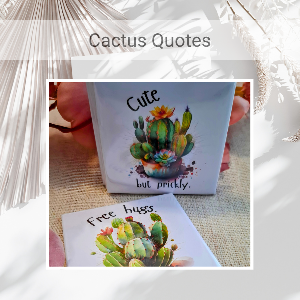 Pre-made "Cactus Quotes" Magnet Set
